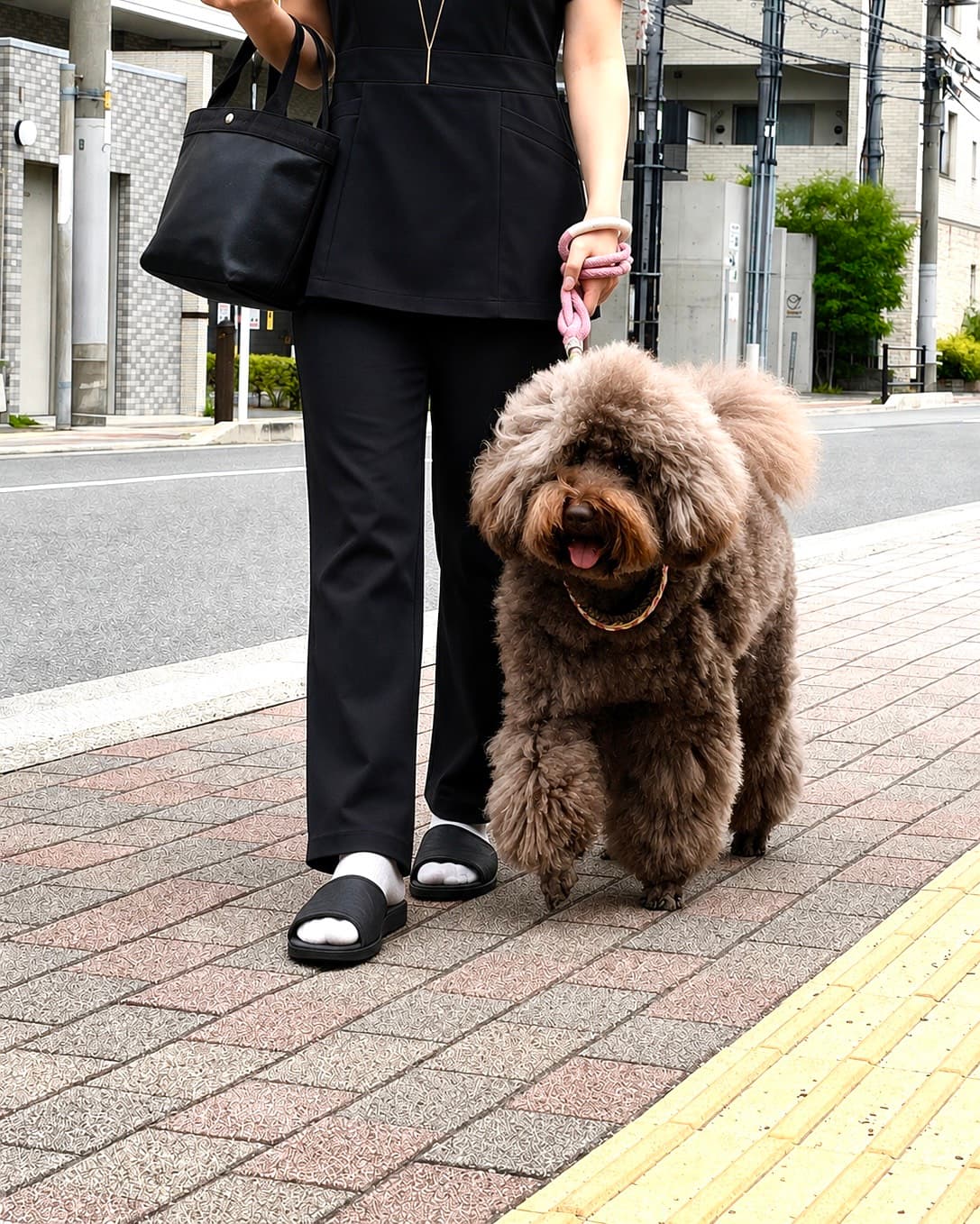 朝のお散歩
